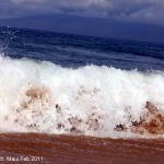 Image 8 Caption